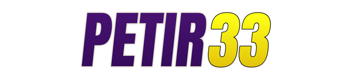 petir33 logo